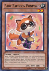 Baby Raccoon Ponpoko