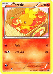 Torchic