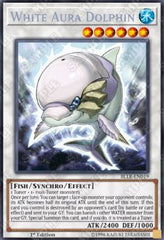 White Aura Dolphin