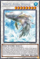 White Aura Whale
