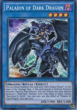 Paladin of Dark Dragon - Dragons of Legend 2 (Secret Rare) [DRL2-018]