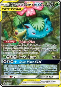 Venusaur & Snivy GX - SM Black Star Promos (Promo) [SM-229]