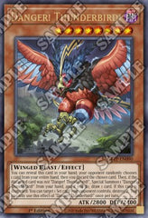 Danger! Thunderbird!