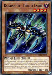 Raidraptor - Tribute Lanius