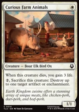 Curious Farm Animals