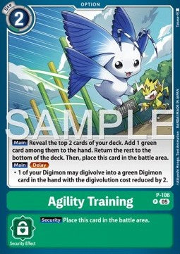 Agility Training (P-106)