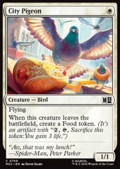 City Pigeon
